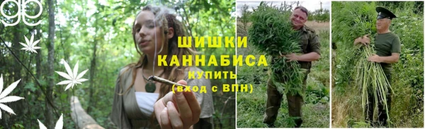 эйфоретик Алексеевка