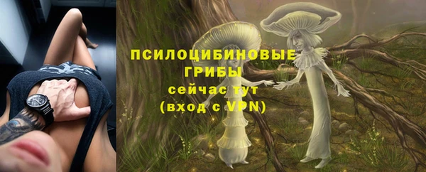 эйфоретик Алексеевка